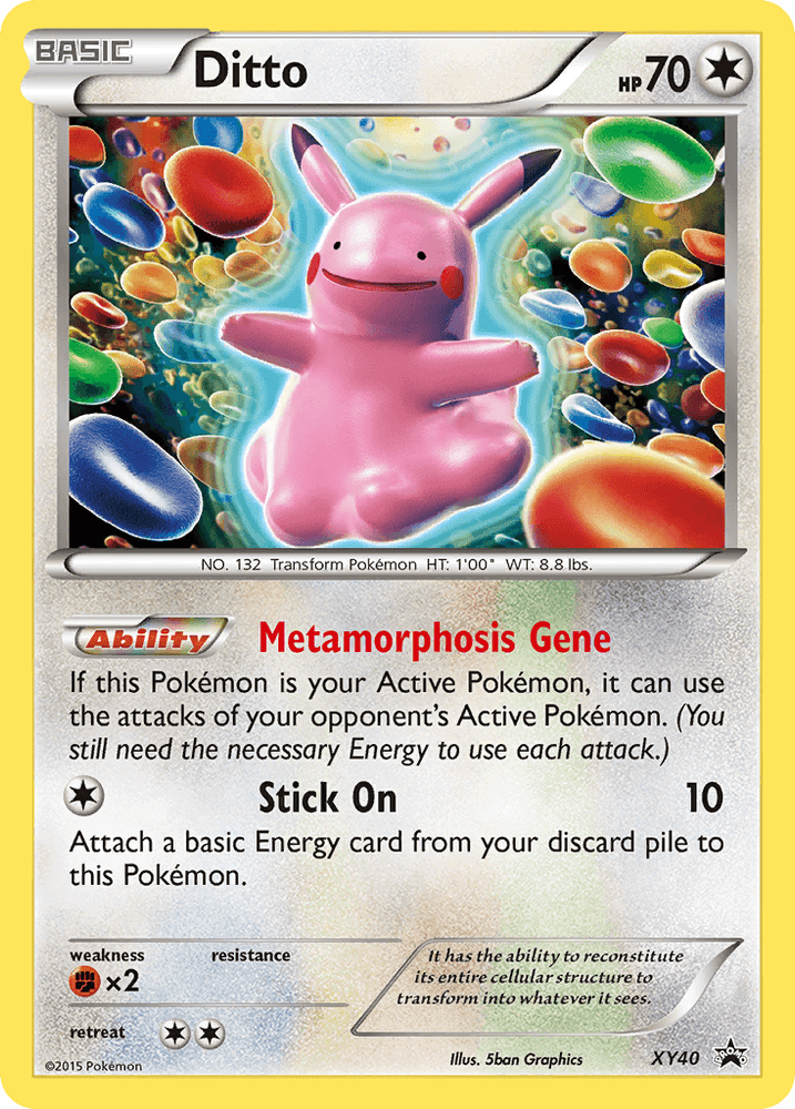 Ditto (XY40) [XY: Black Star Promos] (Online Only)
