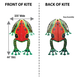 RainForest Dart Frog (ONLINE ORDER ONLY)
