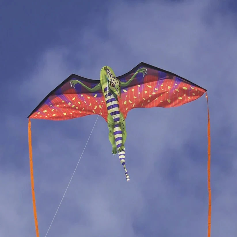 Fantasy 70 inch Wingspan Nylon Pterodactyl (ONLINE ORDER ONLY)