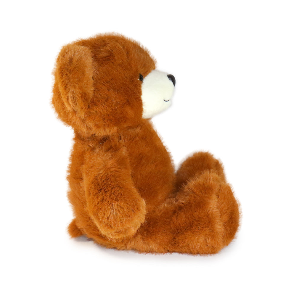 Momo Bear: A Large Plush Toy for Collectors, Curators, and Keepsake Lovers (ONLINE ORDER ONLY)