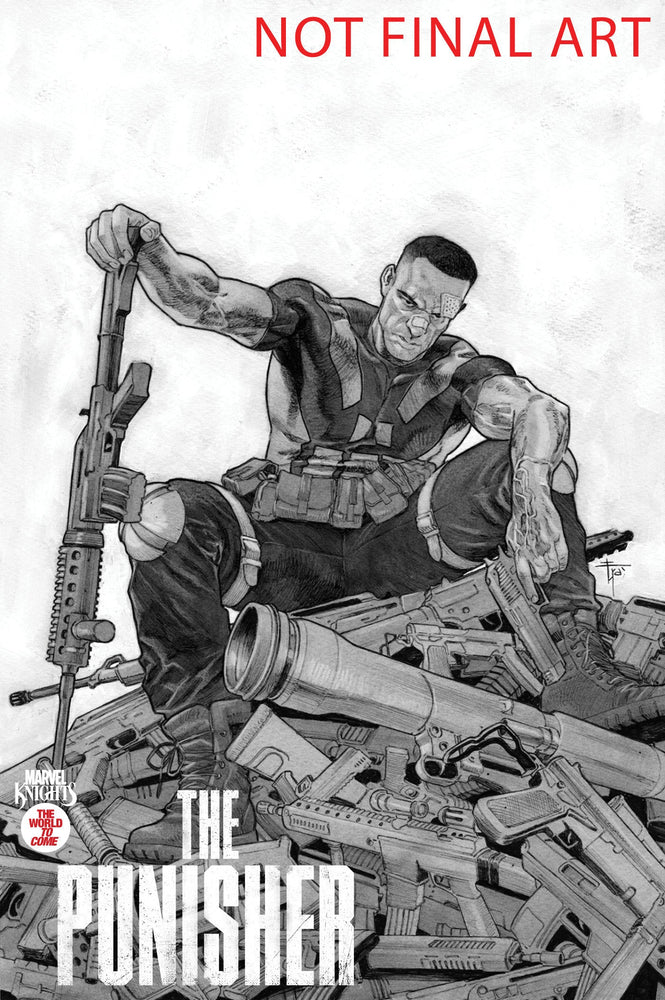 Marvel Knights: Punisher (2025) #2B (ONLINE ORDER ONLY)