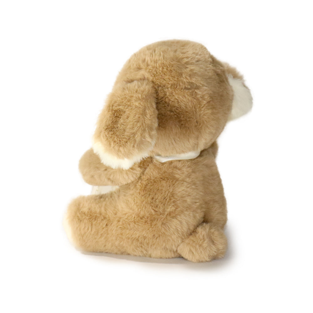 Just For You Dog: A Plush Toy Made to Make Someone Feel Special (ONLINE ORDER ONLY)