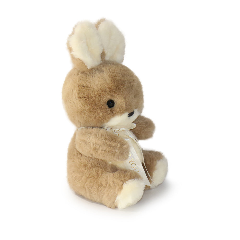 Just for You Bunny: A Sweet Plush Gift Meant to Be Shared (ONLINE ORDER ONLY)
