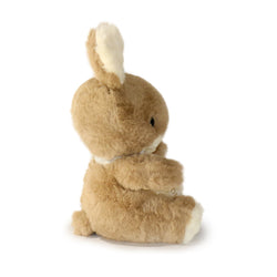 Just for You Bunny: A Sweet Plush Gift Meant to Be Shared (ONLINE ORDER ONLY)