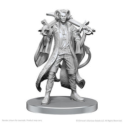 Critical Role Miniatures: Mollymauk Tealeaf & Caduceus Clay - Wave 26 (ONLINE ORDER ONLY)