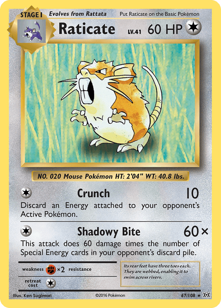 Raticate (67/108) [XY: Evolutions] (Online Only)