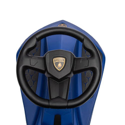 Lamborghini Swing Car (ONLINE ORDER ONLY)