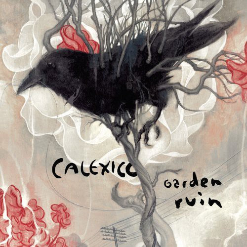 Garden Ruin [LP]