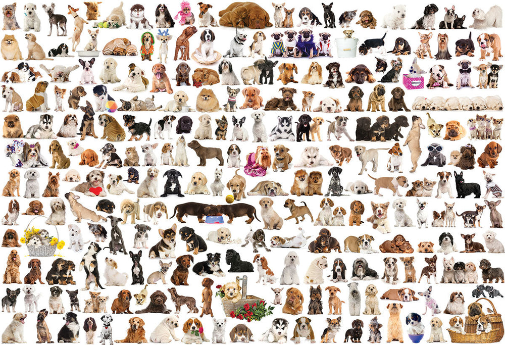 Puzzle: The BIG Puzzle Collection - The World of Dogs