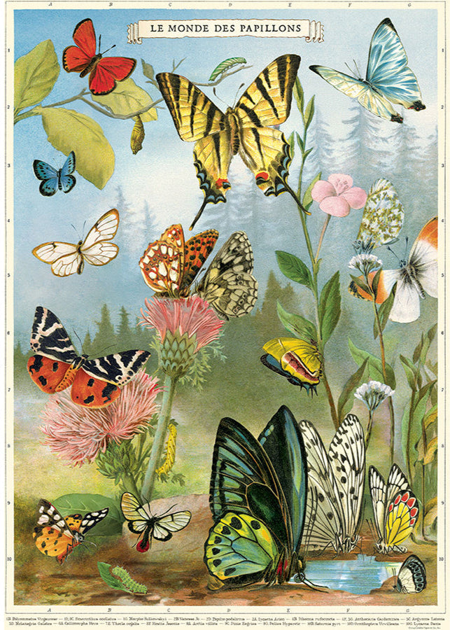 World of Butterflies Scientific Chart (ONLINE ORDER ONLY)