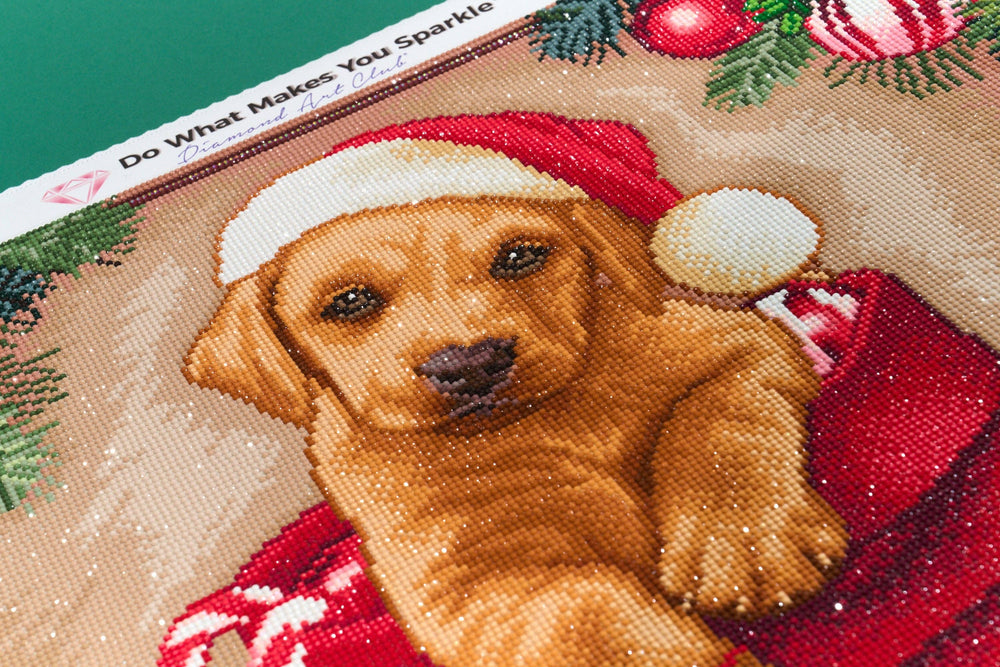 Diamond Art Club – From Santa Christmas Puppy Diamond Painting (Round Drill, 22" x 22") (ONLINE ORDER ONLY)