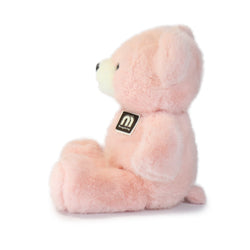 Momo Bear: A Large Plush Toy for Collectors, Curators, and Keepsake Lovers (ONLINE ORDER ONLY)