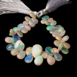 8x6-14x11mm Golden Ethiopian Opal Plain Pears 6.5 inch 47 beads (ONLINE ORDER ONLY)