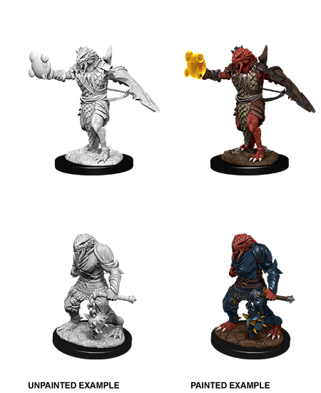 D&D: Nolzur's Marvelous Miniatures - Dragonborn Male Paladin (ONLINE ORDER ONLY)