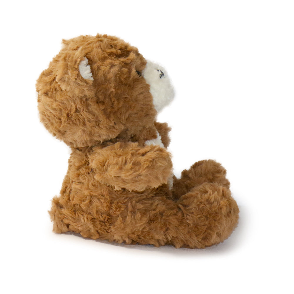 Toffee Bear: A Classic Plush Toy for Cozy Sleepers and Comfort Seekers (ONLINE ORDER ONLY)