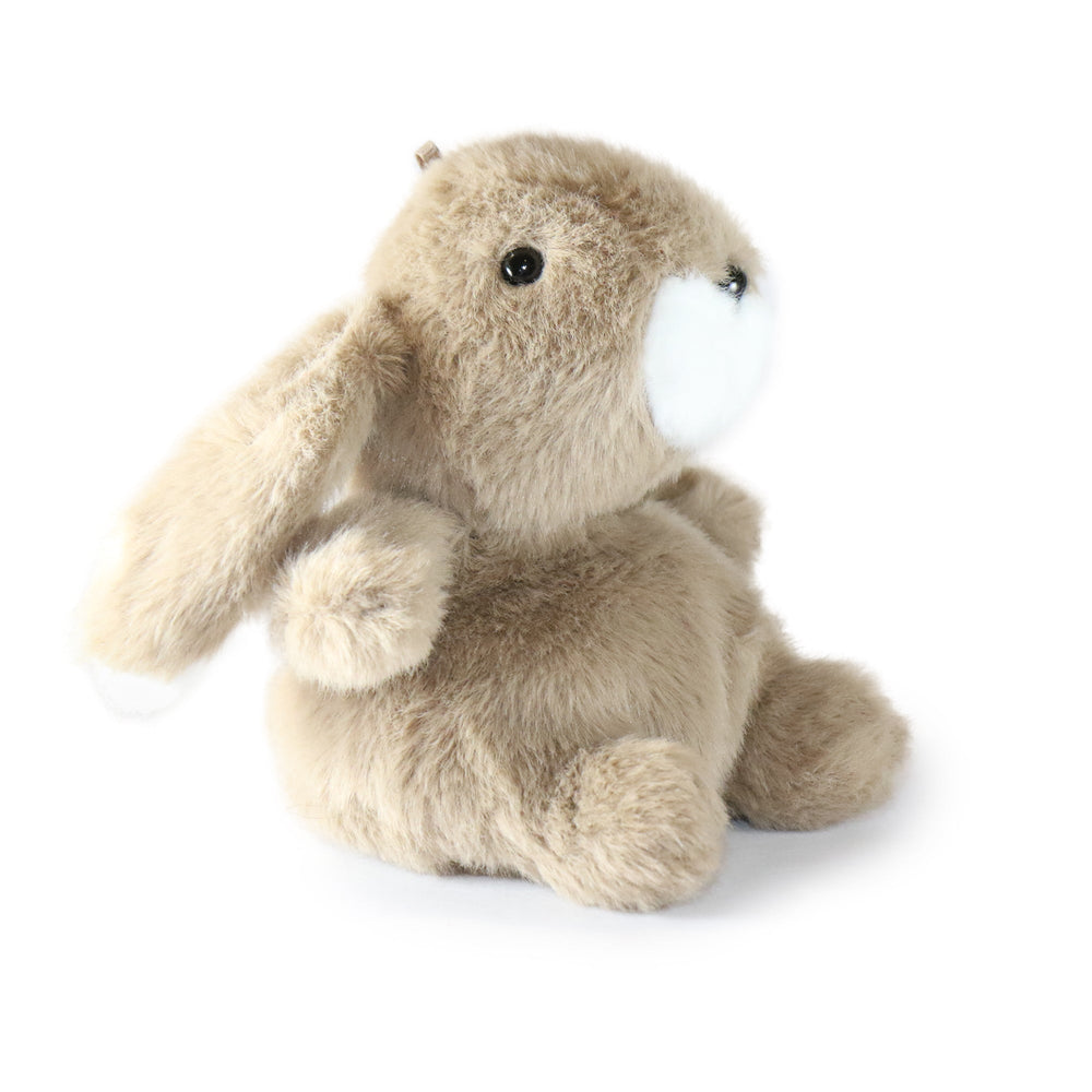 Benny Bunny (ONLINE ORDER ONLY)