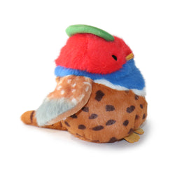 Pasha Bird: A Bright, Colorful Plush Toy Made to Add Joy and Personality (ONLINE ORDER ONLY)