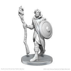 Critical Role Miniatures: Mollymauk Tealeaf & Caduceus Clay - Wave 26 (ONLINE ORDER ONLY)