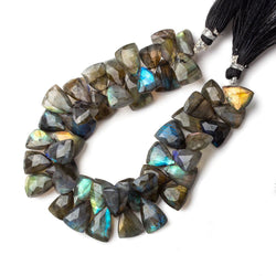 9x9-14x9mm Labradorite tip drilled Triangle beads 7 inch 49 pieces (ONLINE ORDER ONLY)
