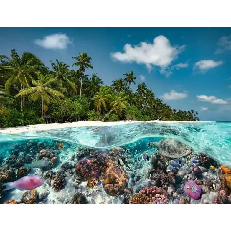 A Dive in Maldives 2000 Piece Jigsaw Puzzle Ravensburger (ONLINE ORDER ONLY)