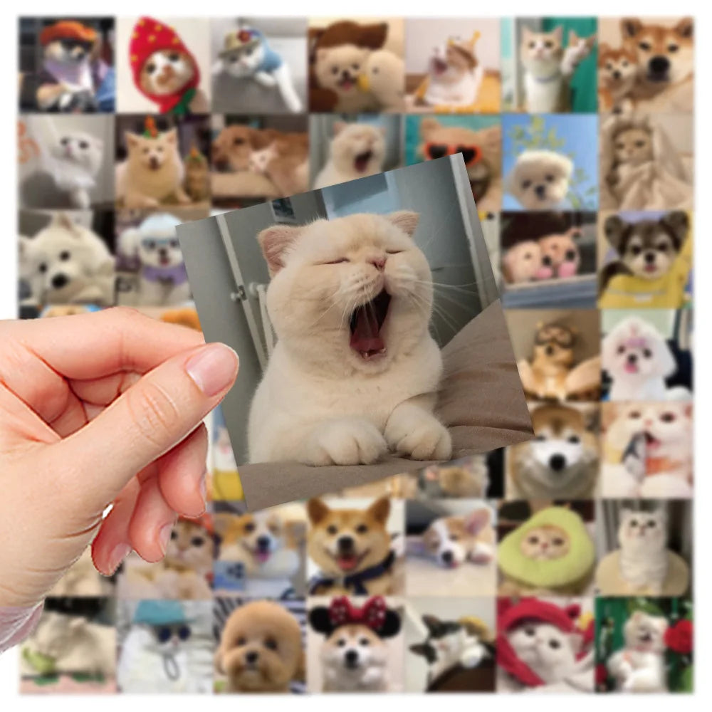Cute Dog Cat Stickers Decals for Kids DIY Laptop Phone Notebook Suitcase Kawaii Animal MEME Stickers Gift (ONLINE ORDER ONLY)