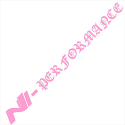 N Performance Car Sticker Windshield Shape I30N Nthusiast CD 109DB Character Sports Style Letters Stickers Vinyl Decals (ONLINE ORDER ONLY)