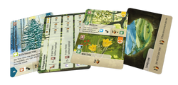 Forest Shuffle: Exploration