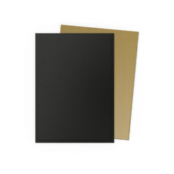 BLACK & GOLD - MATTE DUAL SLEEVES