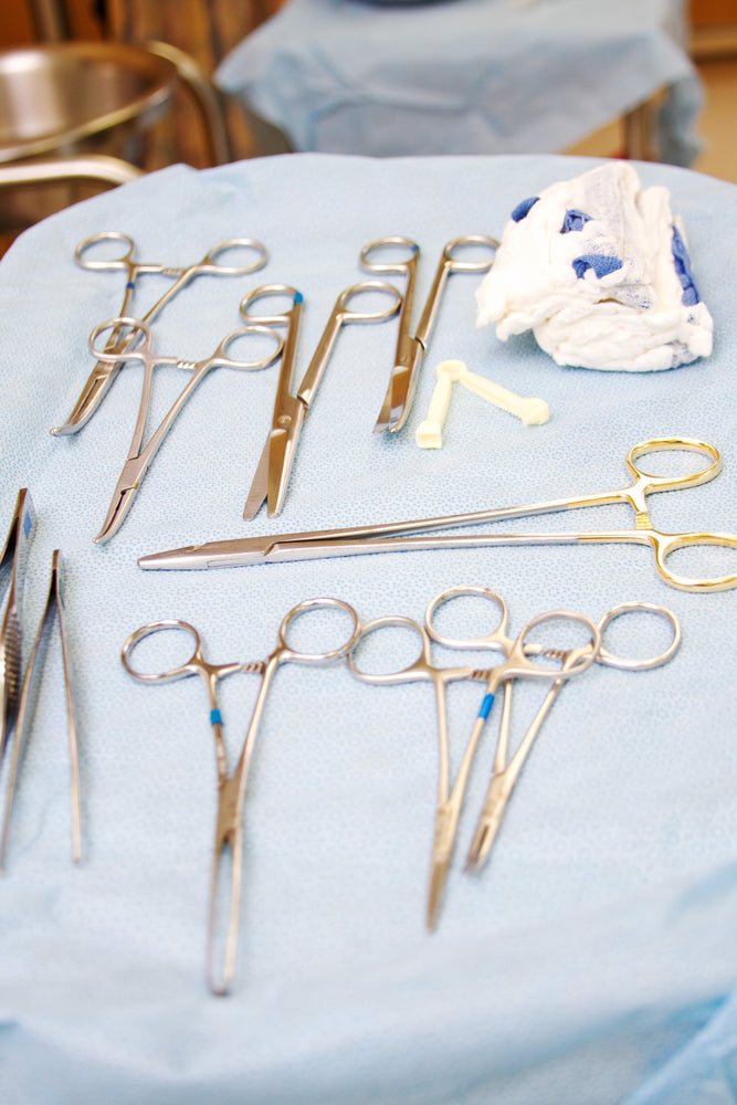 Large Surgical Scissors - 6.5"