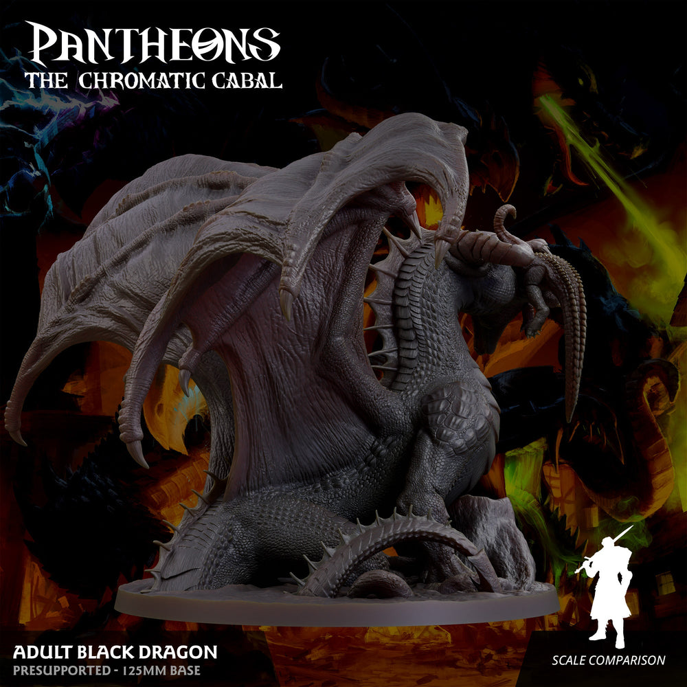 3D Printed Sordane Publishing Adult Black Dragon Pantheons The Chromatic Cabal 28 32mm D&D (Online Only)