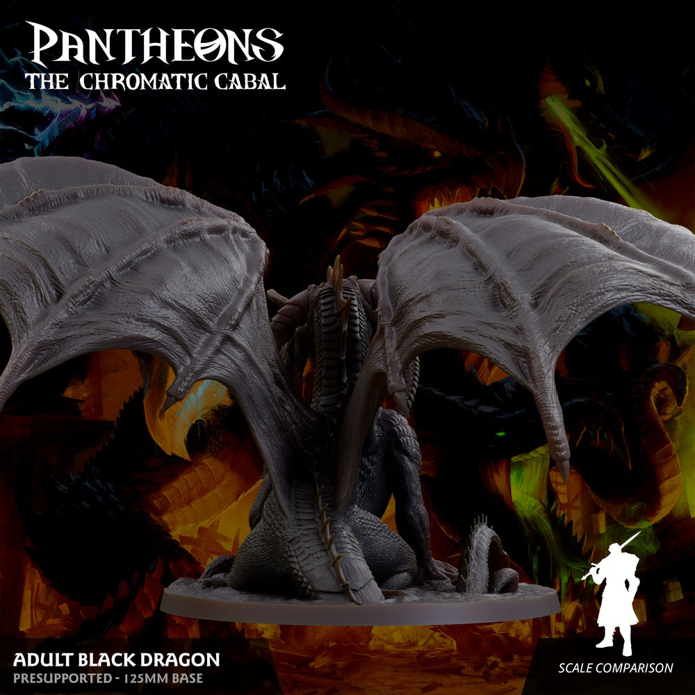 3D Printed Sordane Publishing Adult Black Dragon Pantheons The Chromatic Cabal 28 32mm D&D (Online Only)