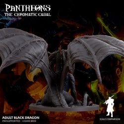 3D Printed Sordane Publishing Adult Black Dragon Pantheons The Chromatic Cabal 28 32mm D&D (Online Only)