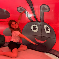 The Original AirFort - Ladybug