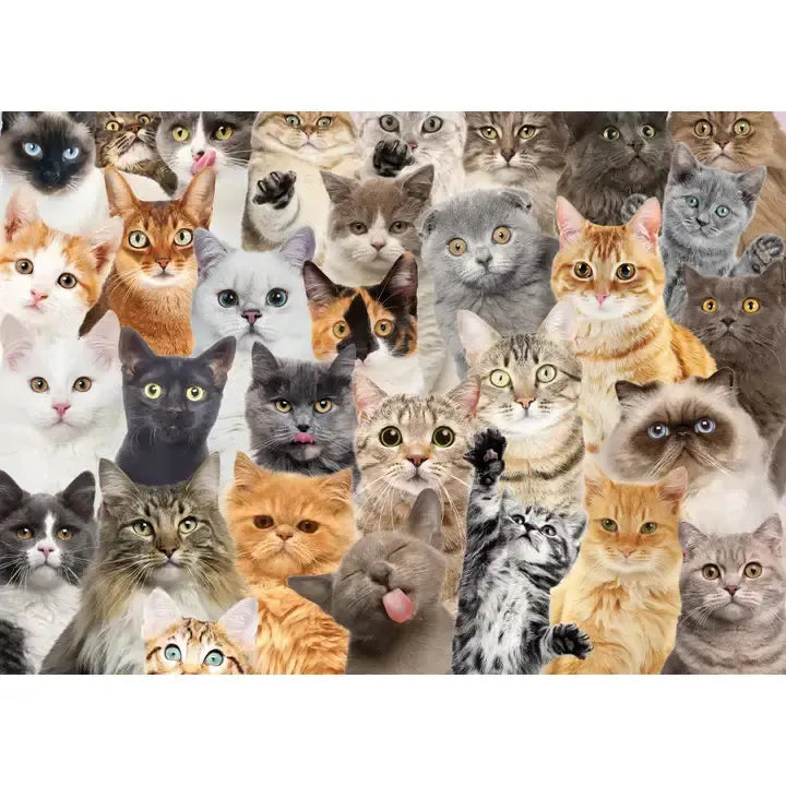 All the Cats 1000 Piece Jigsaw Puzzle Peter Pauper (ONLINE ORDER ONLY)