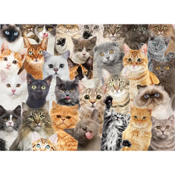 All the Cats 500 Piece Jigsaw Puzzle Peter Pauper (ONLINE ORDER ONLY)