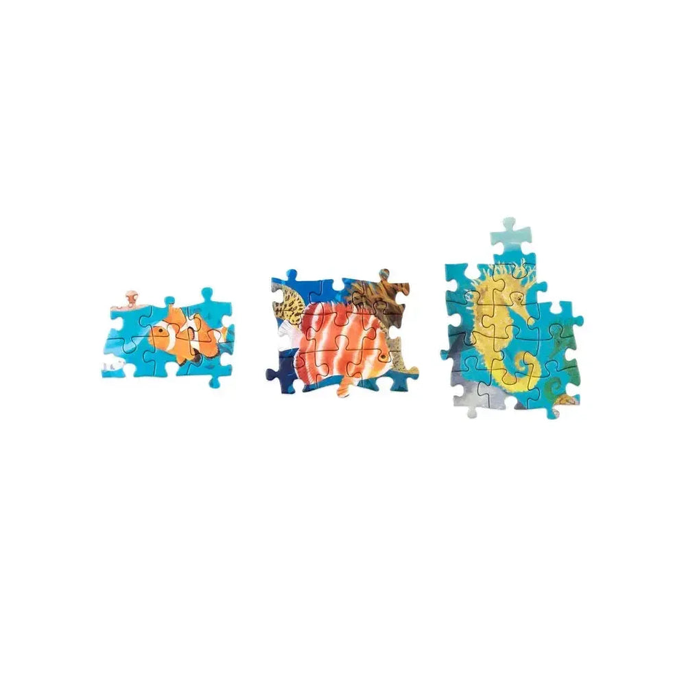 Around the World in 50 Fish 1000 Piece Jigsaw Puzzle Laurence King (ONLINE ORDER ONLY)