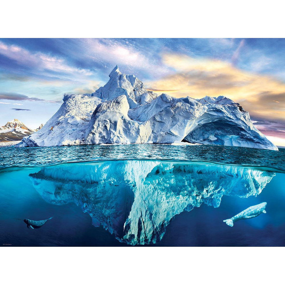Artic 1000 Piece Jigsaw Puzzle Eurographics (ONLINE ORDER ONLY)