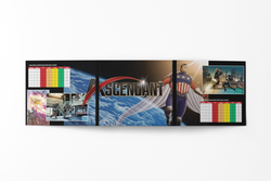 Ascendant Gamemaster Screen (Online Only)