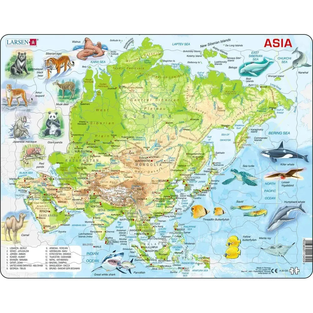 Asia Topographic Map 63 Piece Tray Jigsaw Puzzle Larsen (ONLINE ORDER ONLY)