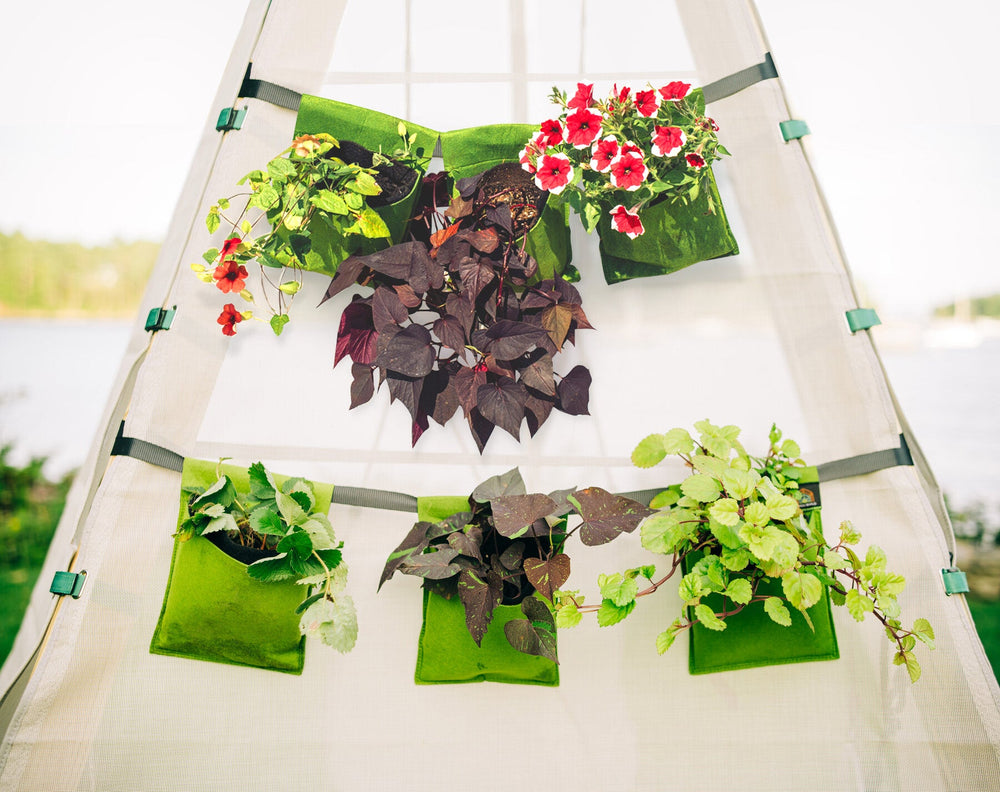 Bijou Bloom Hanging Planters (ONLINE ORDER ONLY)