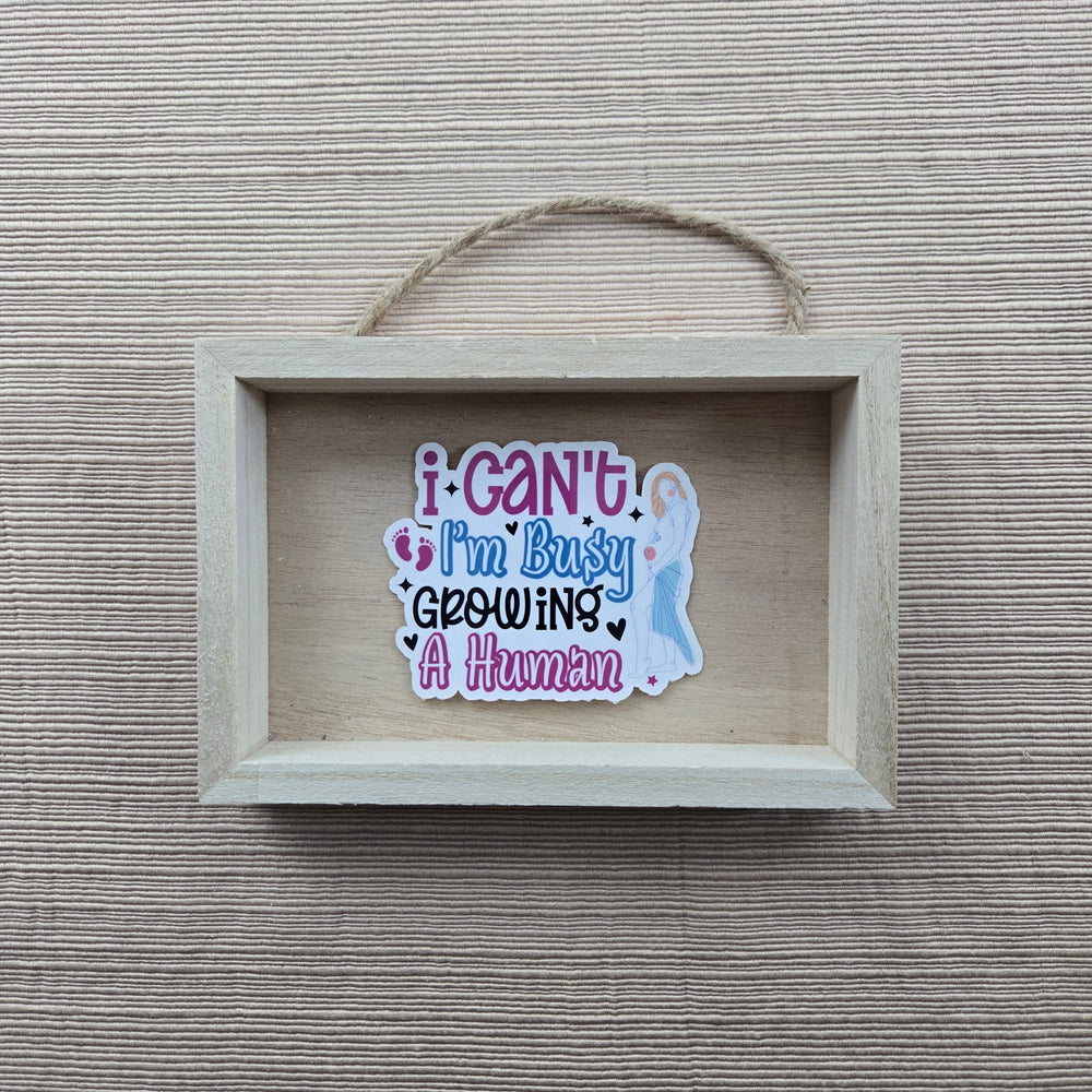 Funny Pregnancy Stickers (ONLINE ORDER ONLY)