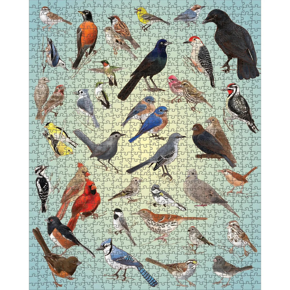 Backyard Birds 1000 Piece Jigsaw Puzzle Pomegranate (ONLINE ORDER ONLY)