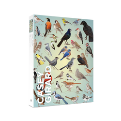 Backyard Birds 1000 Piece Jigsaw Puzzle Pomegranate (ONLINE ORDER ONLY)