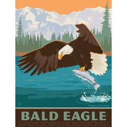 Bald Eagle 300 Piece Jigsaw Puzzle MasterPieces (ONLINE ORDER ONLY)