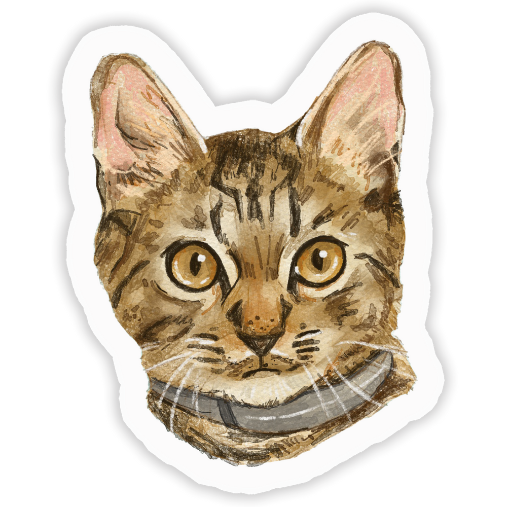 Faces Of Kitty Town Sticker Pack
