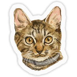 Faces Of Kitty Town Sticker Pack