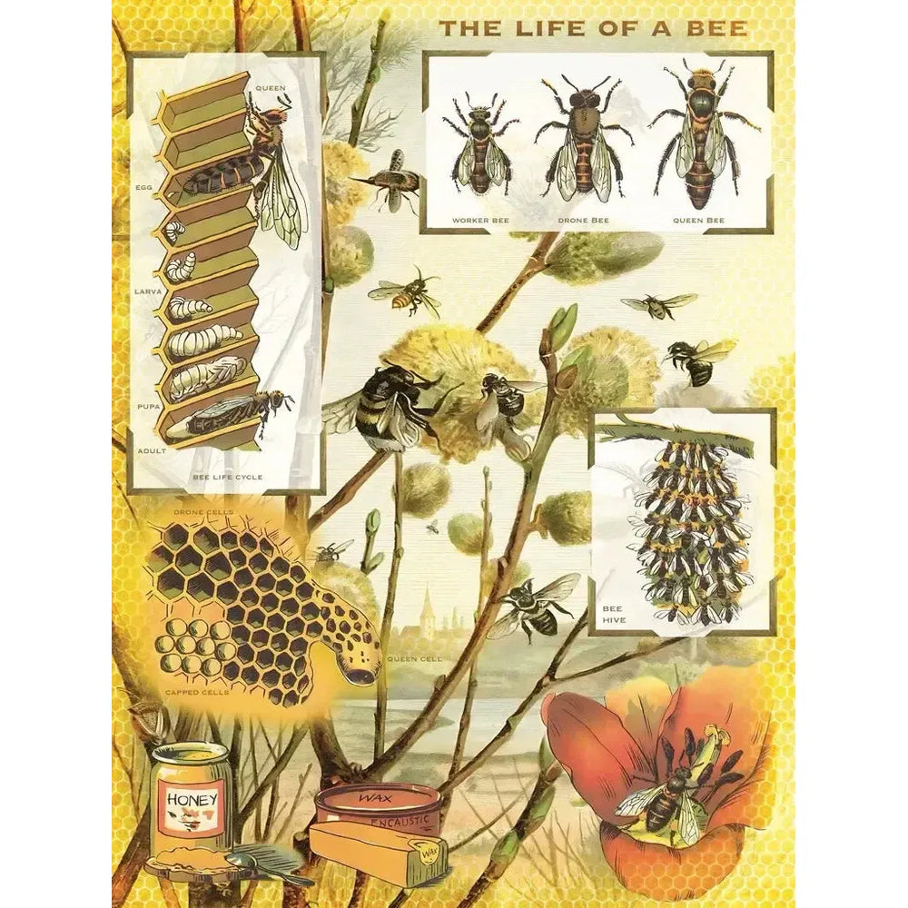 Bees & Honey 1000 Piece Jigsaw Puzzle NYPC (ONLINE ORDER ONLY)