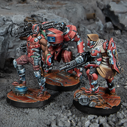 Beyond Operation Mazebreaker (ONLINE ORDER ONLY)