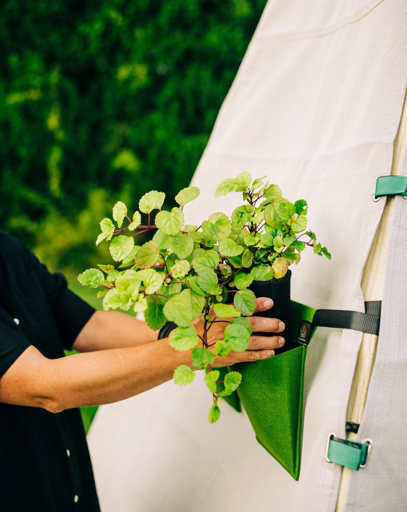 Bijou Bloom Hanging Planters (ONLINE ORDER ONLY)
