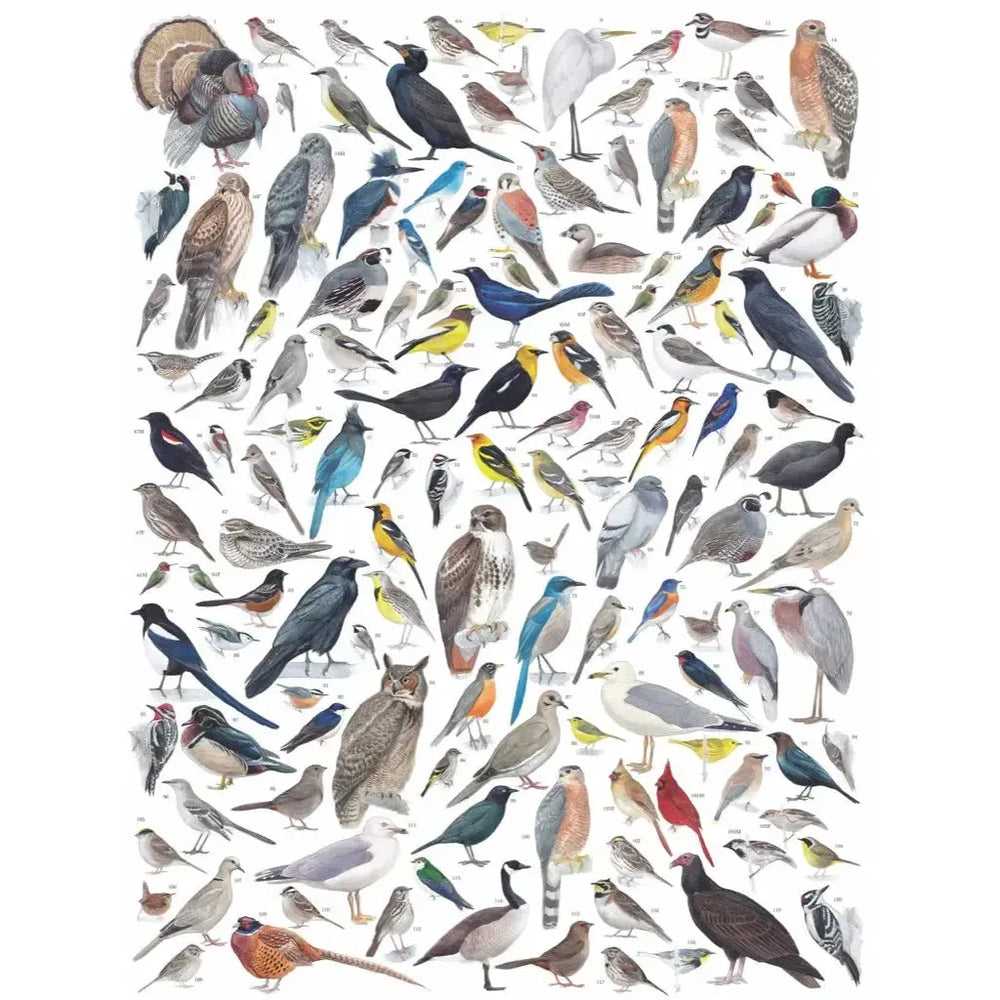 Birds of Western North America 1000 Piece Jigsaw Puzzle NYPC (ONLINE ORDER ONLY)